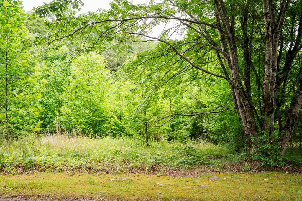 Lot 29 Hidden Forest Lane, Hayesville, NC 28904 - #1