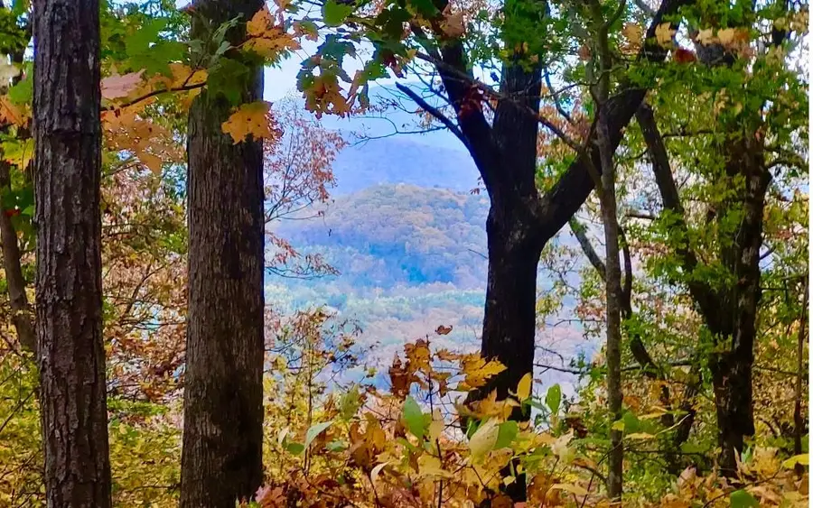 43.91 Old Burnt Mountain Road, Ellijay, GA 30540 - #2