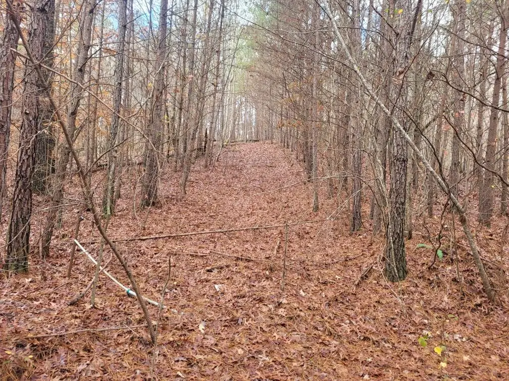 18.22 Talona Road, Ellijay, GA 30540 - #1