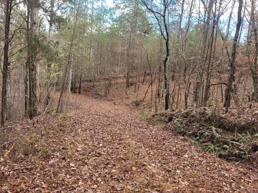 18.22 Talona Road, Ellijay, GA 30540 - #2