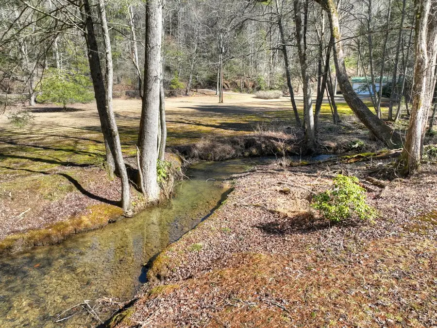 7233 Shakerag Road, Ellijay, GA 30540 - #3