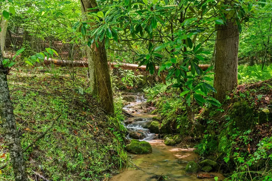 714 Pope Cove Trail, Hayesville, NC 28904 - #2