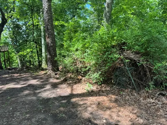 154 Chill Lane, Blairsville, GA 30512 - #2