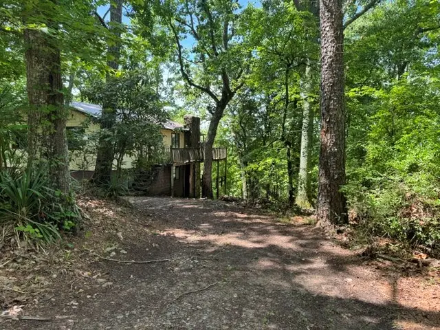 154 Chill Lane, Blairsville, GA 30512 - #3