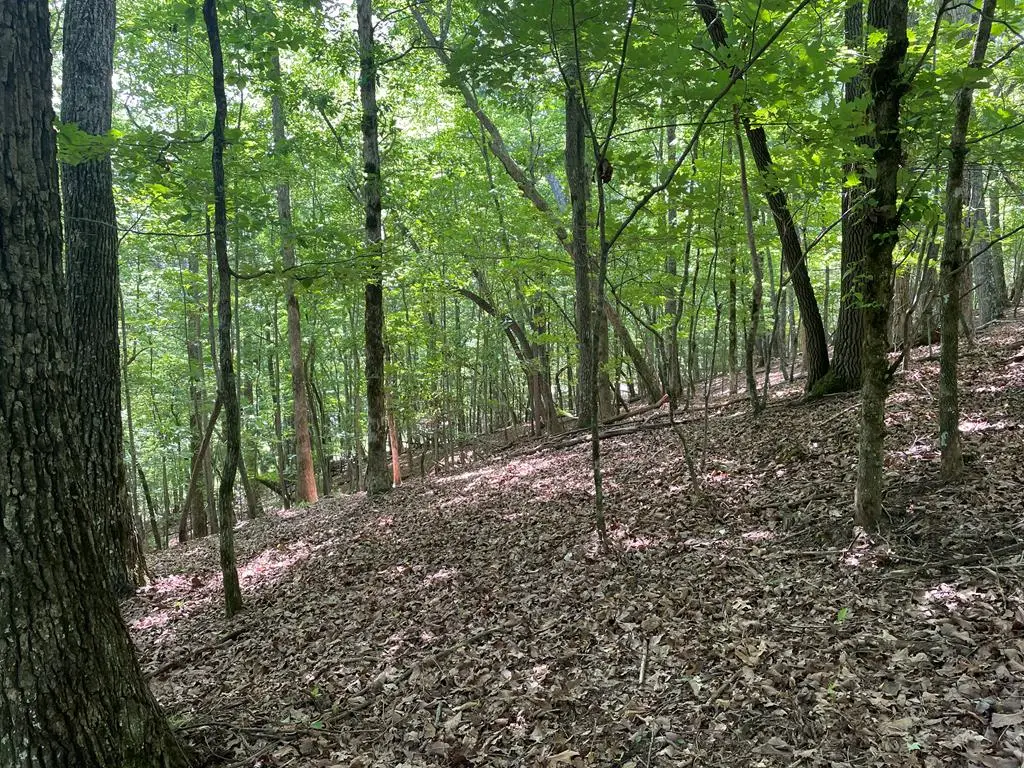 Lot 11 Brumby Run, Blairsville, GA 30512 - #1