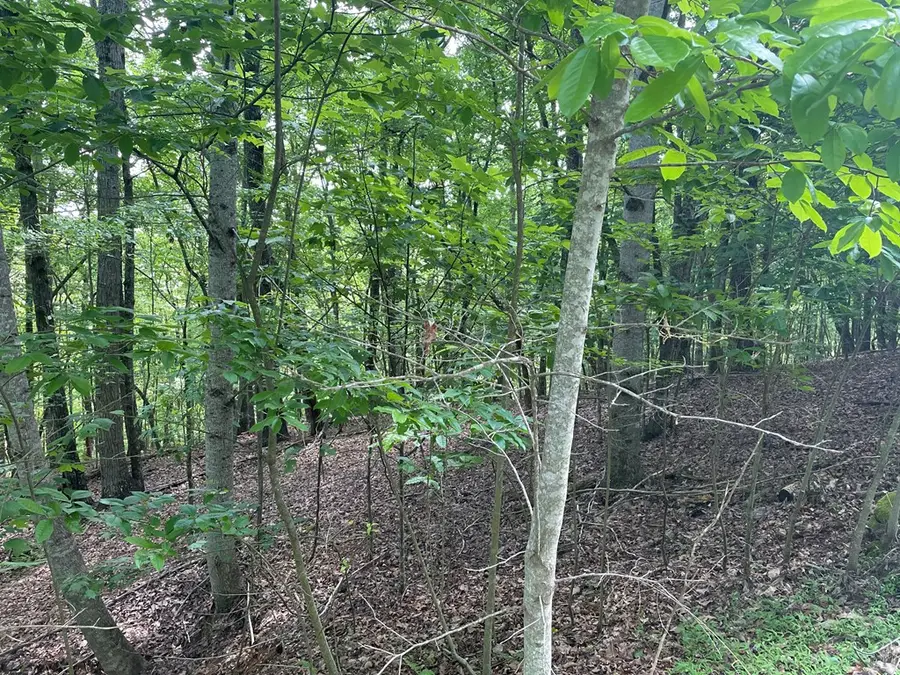 Lot 11 Brumby Run, Blairsville, GA 30512 - #2