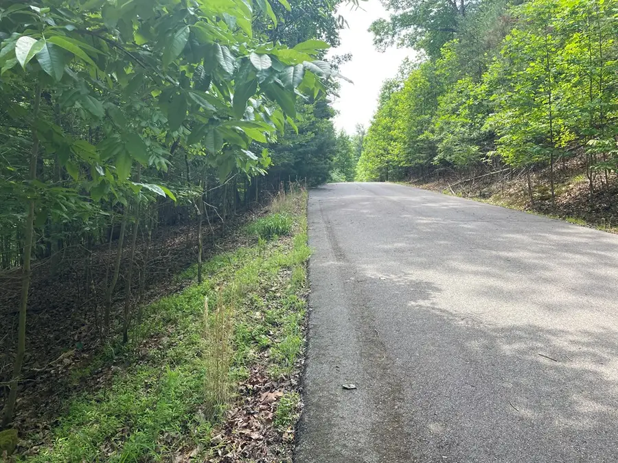 Lot 11 Brumby Run, Blairsville, GA 30512 - #3