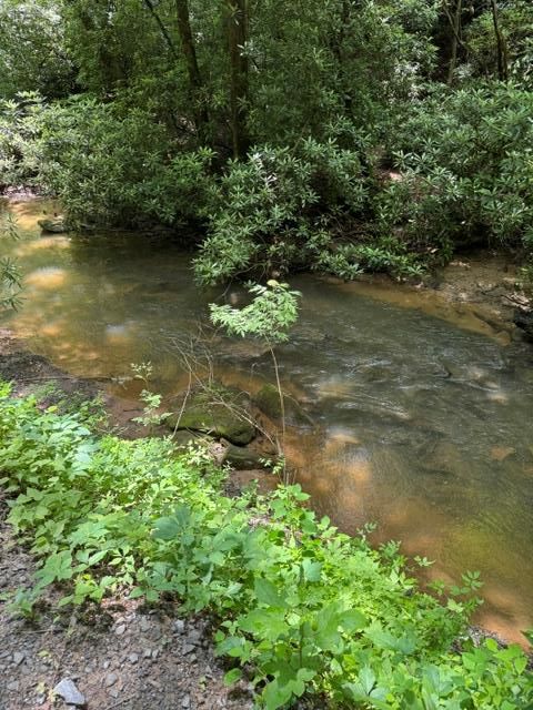 Lot 2 Kells Ridge, Ellijay, GA 30540