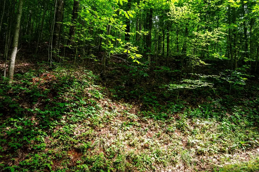8 Skyview Drive, Hayesville, NC 28904 - #3