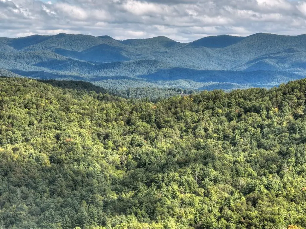 Lot 25 Utana Bluffs Trail, Ellijay, GA 30540 - #1