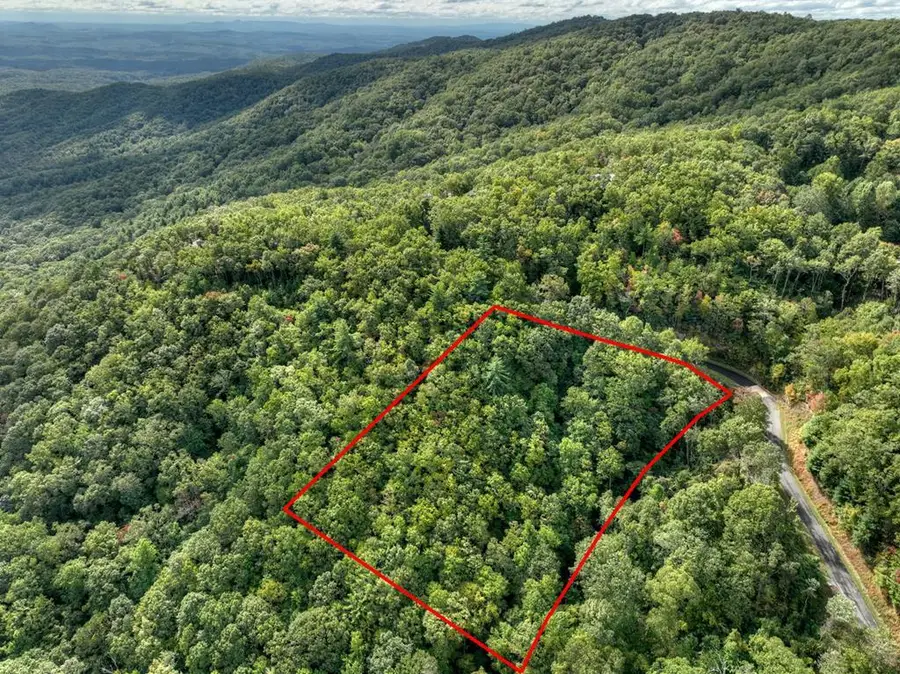 Lot 25 Utana Bluffs Trail, Ellijay, GA 30540 - #2