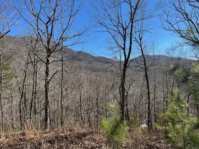 Lot 10 Mountain Valley View, Hiawassee, GA 30546 - #1