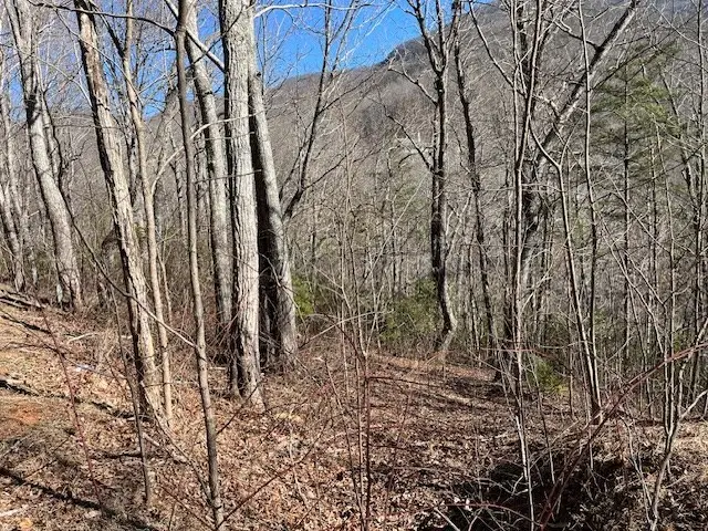 Lot 10 Mountain Valley View, Hiawassee, GA 30546 - #3
