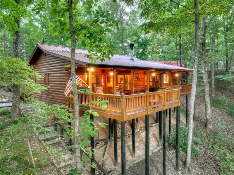 9 Joanna Court, Cherry Log, GA 30522 - #2
