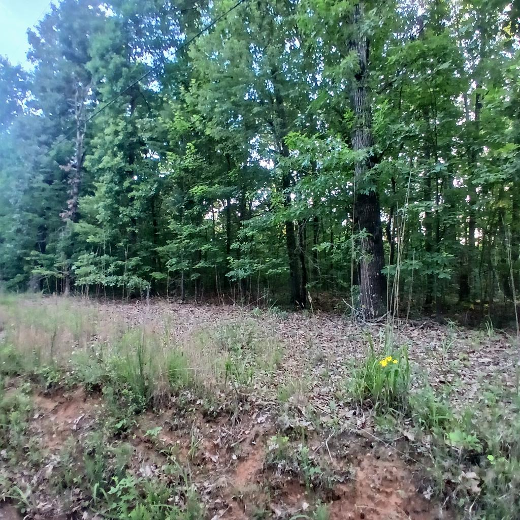Tr. 2 Raven Cliff Road, Talking Rock, GA 30175 - #1