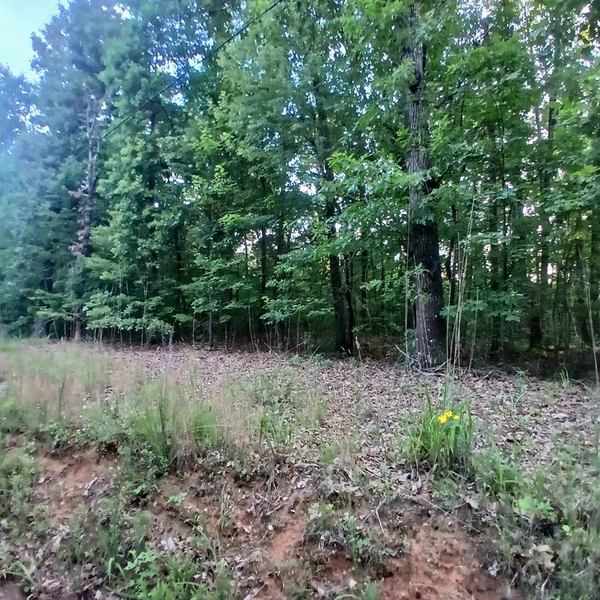 Tr. 2 Raven Cliff Road, Talking Rock, GA 30175