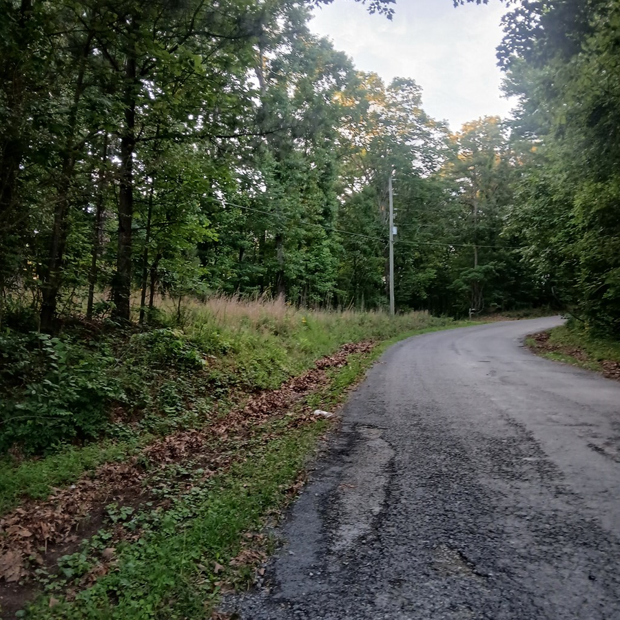 Tr. 2 Raven Cliff Road, Talking Rock, GA 30175 - #2