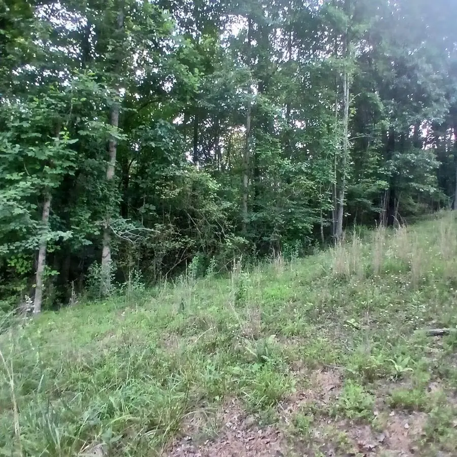 Tr'3 Raven Cliff Road, Talking Rock, GA 30175 - #3