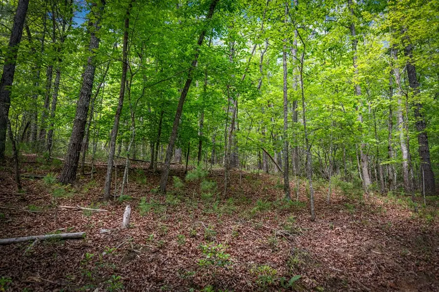 0 Morganton Hwy, Suches, GA 30572 - #3