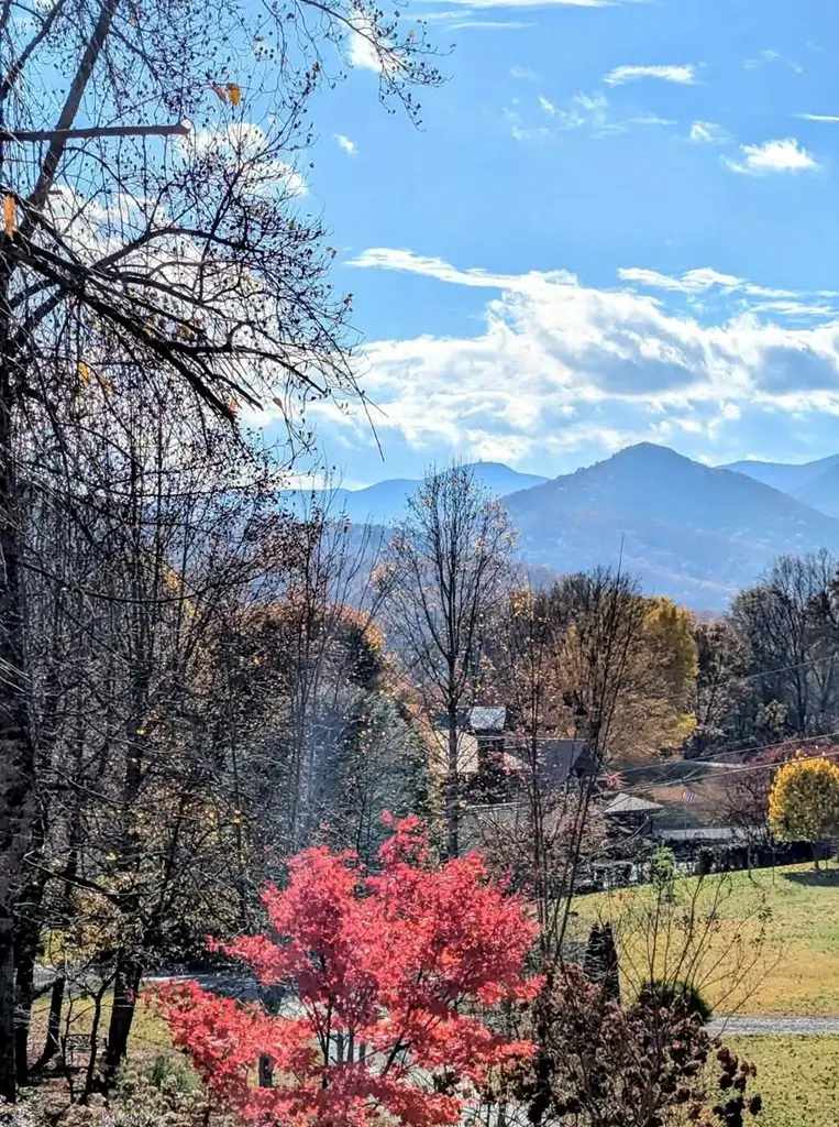 352 South Meadows Drive, Hiawassee, GA 30546 - #3