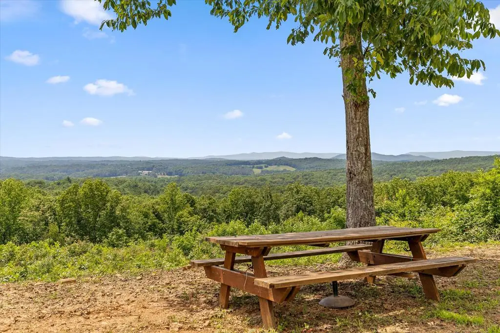 Lot 108 Twisted Oak Road, Talking Rock, GA 30175 - #1