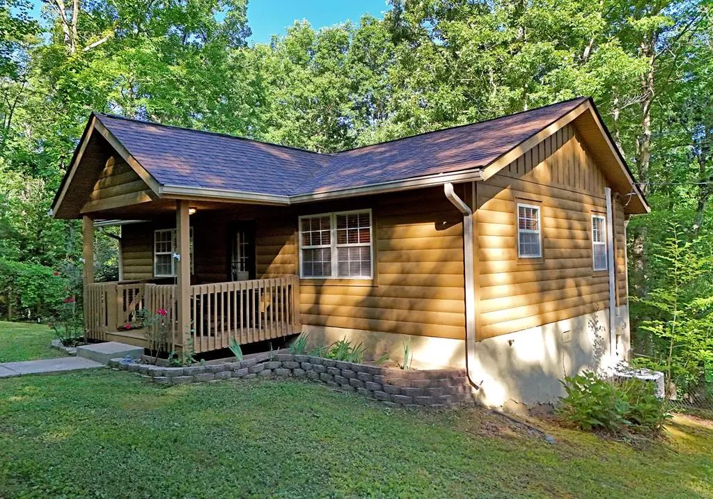 175 Bell Road, Mineral Bluff, GA 30559 - #1