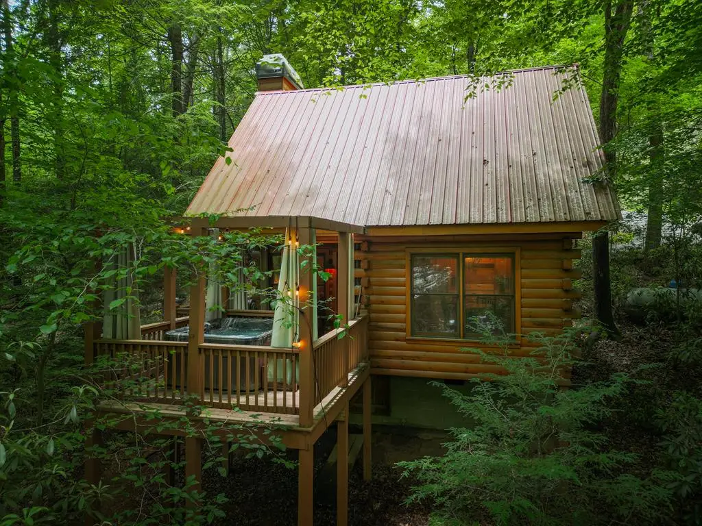 14 Finch Lane, Cherry Log, GA 30522 - #1