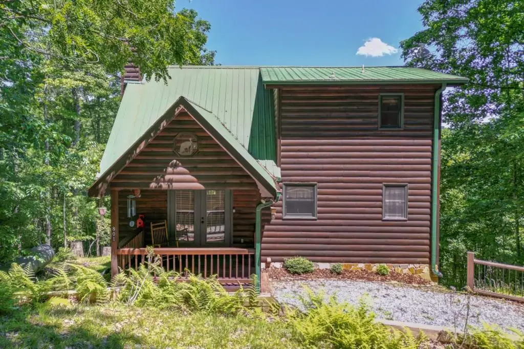 801 Davenport Mountain Road, Blue Ridge, GA 30513 - #1