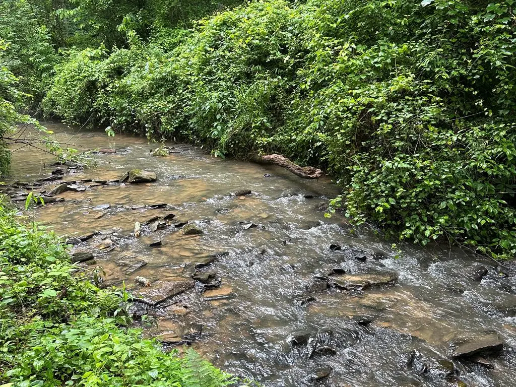 Lot 103 Rhondas Way, Ellijay, GA 30540 - #1