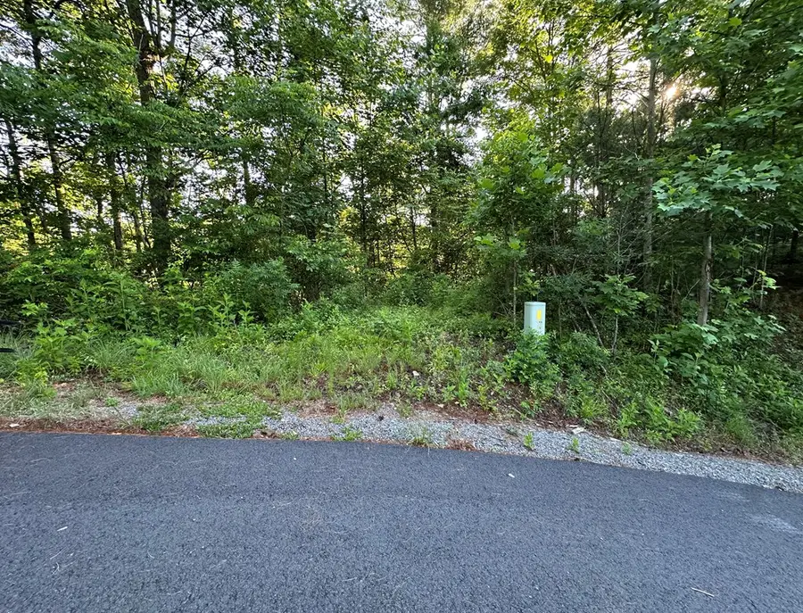 Lot 103 Rhondas Way, Ellijay, GA 30540 - #3