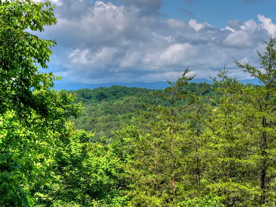309 Katydid Road, Morganton, GA 30560 - #3