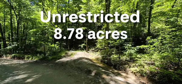 Lot 28 Laurel Ridge, Ellijay, GA 30522
