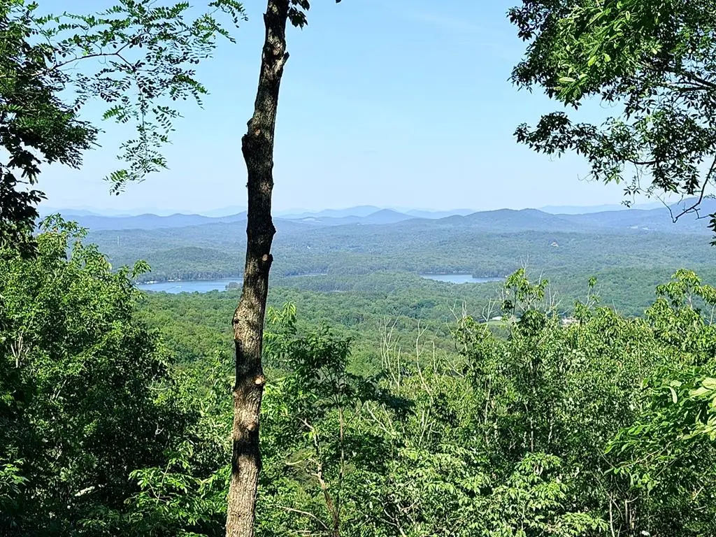 Lot2 Deer Crest Overlook, Blue Ridge, GA 30513 - #1