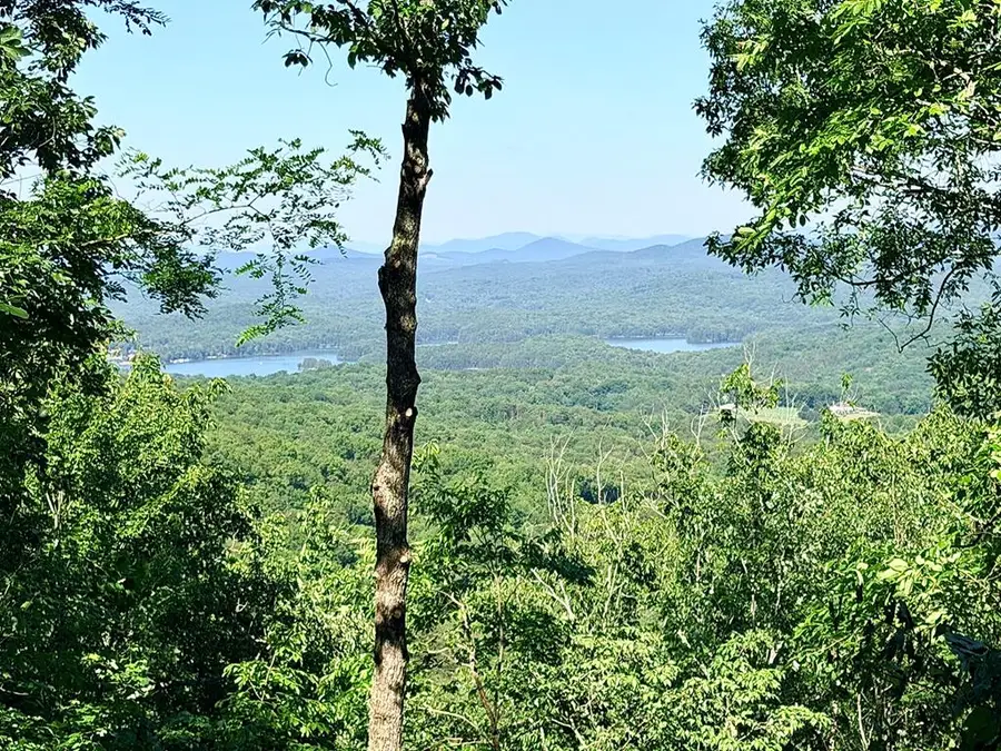 Lot2 Deer Crest Overlook, Blue Ridge, GA 30513 - #3