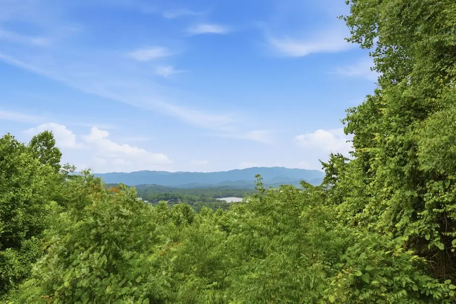 3160 Hiawassee Trace, Hiawassee, GA 30546 - #3