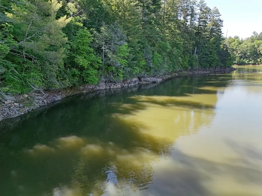 Lot 2 Big Knoll Drive, Blairsville, GA 30512 - #2