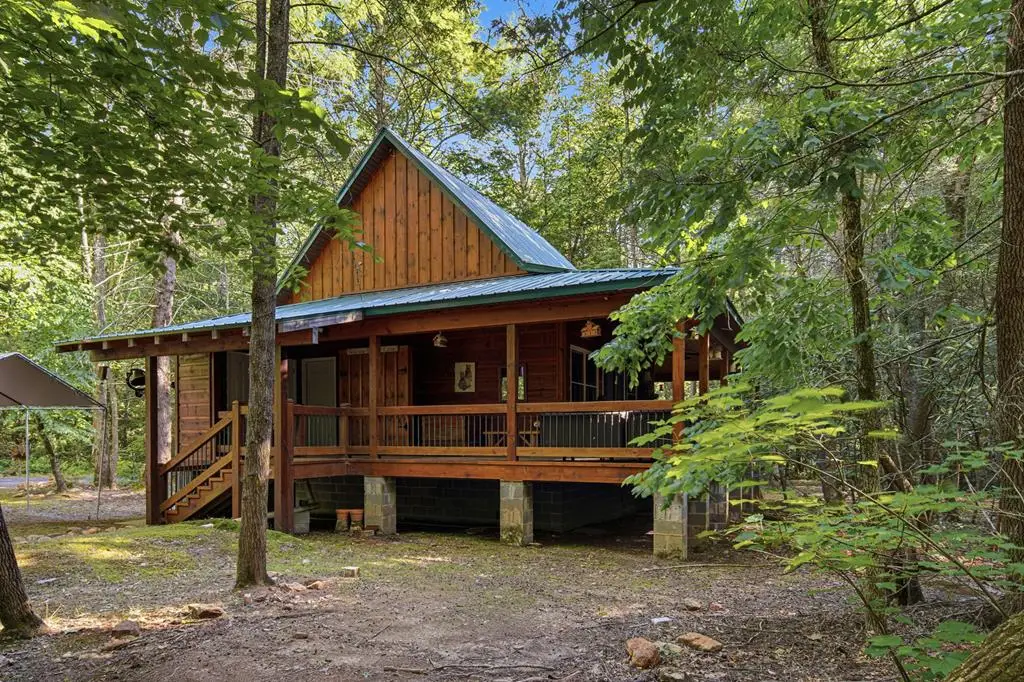 491 Old Parker Terrace, Ellijay, GA 30536 - #1