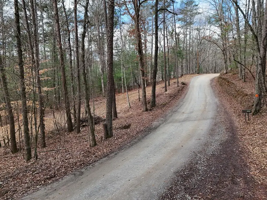 LT 45A Synacia Drive, Mineral Bluff, GA 30559 - #1