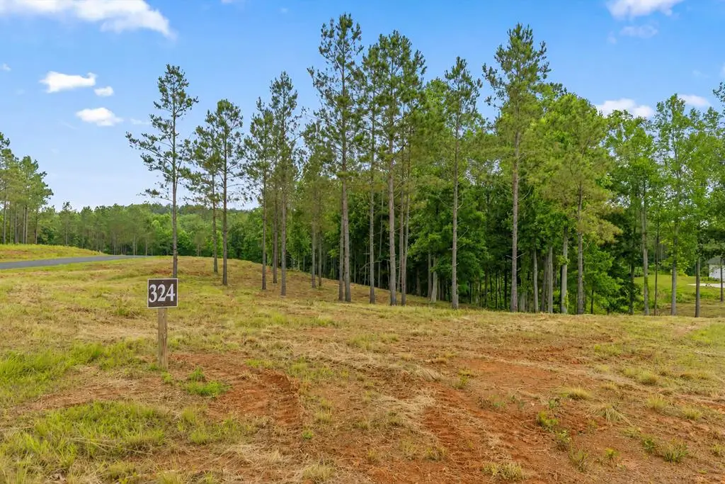 Lot 324 Greenview Landing, Talking Rock, GA 30175 - #1