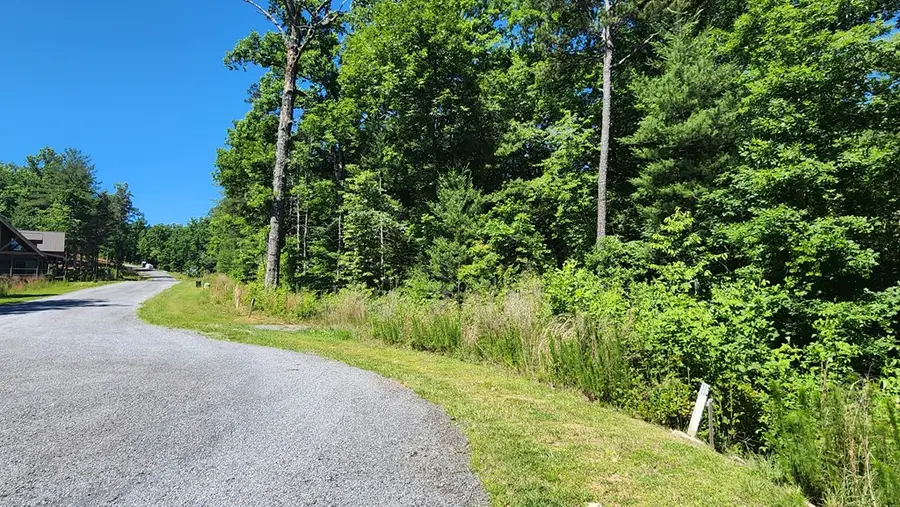 lot 112 Jakes Landing Overlook, Ellijay, GA 30540 - #3