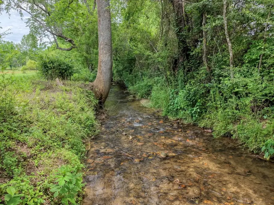 233 Messer Rd (3), Warne, NC 28909 - #2