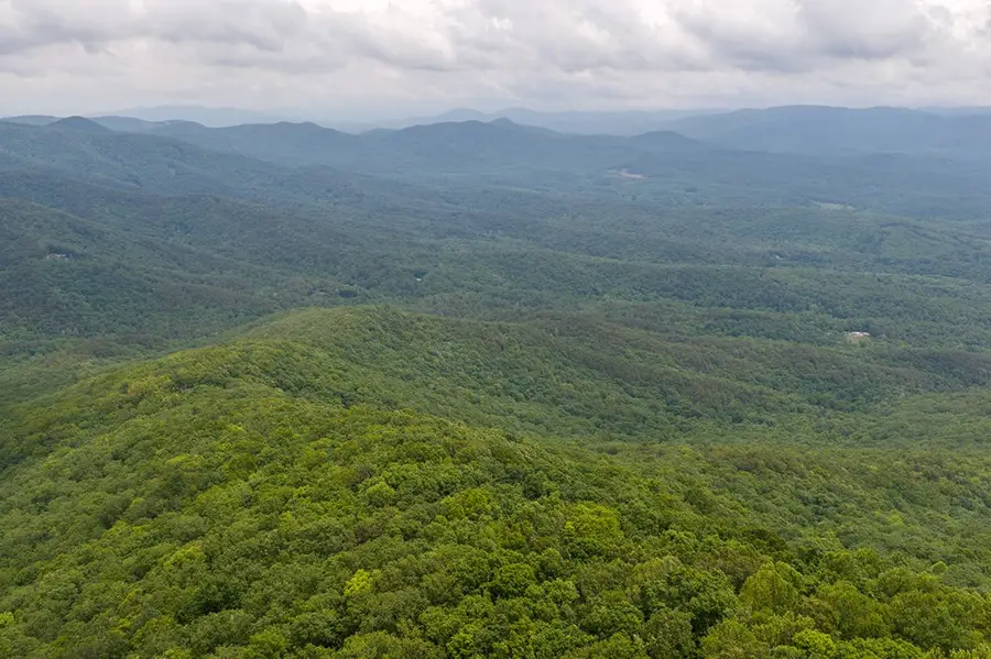 0 Pole Coffee, Ellijay, GA 30536 - #3