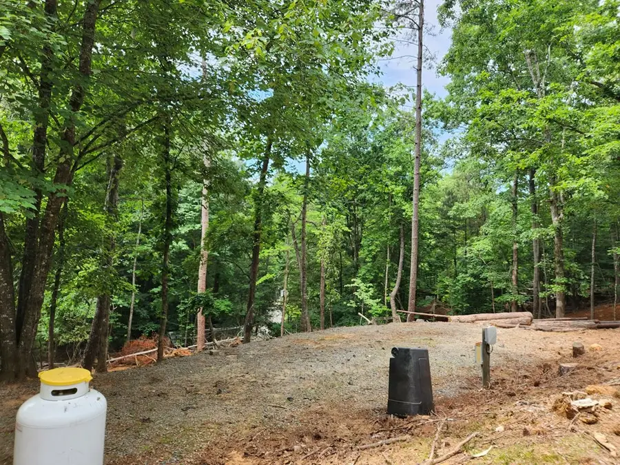 444 10th Street, Ellijay, GA 30540 - #3