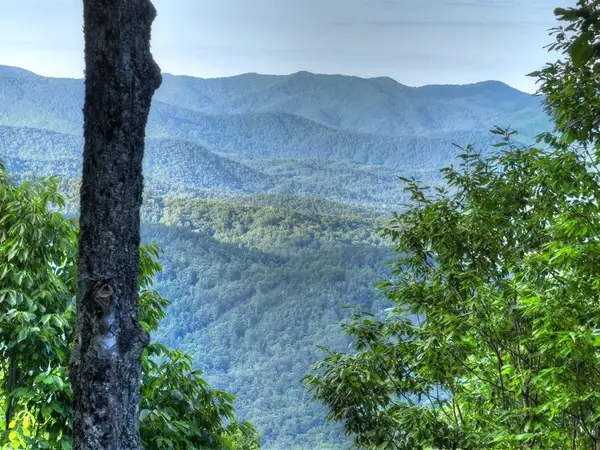 65 Utana Bluff Trails, Ellijay, GA 30540