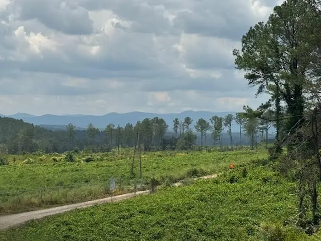 5.0 Acs Hwy 64, Copperhill, TN 37317 - #3
