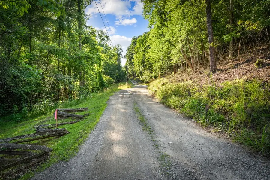 2.48 Acr Valley Lane, Mineral Bluff, GA 30559 - #3