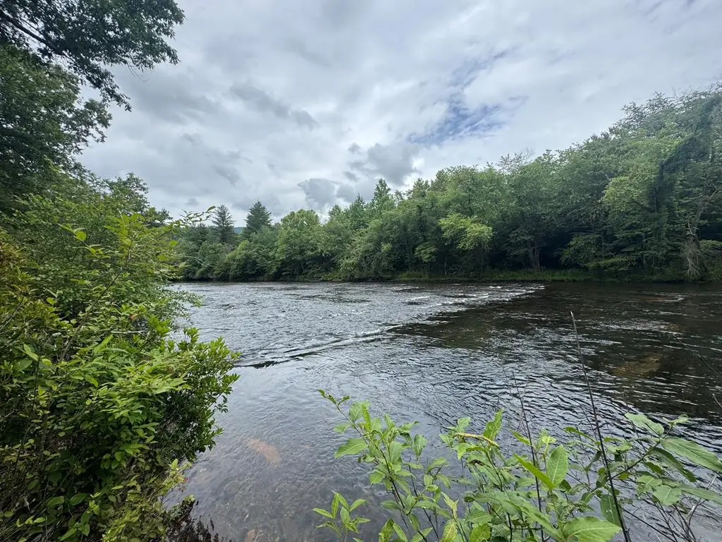 5531 Fires Creek Road, Hayesville, NC 28904 - #1