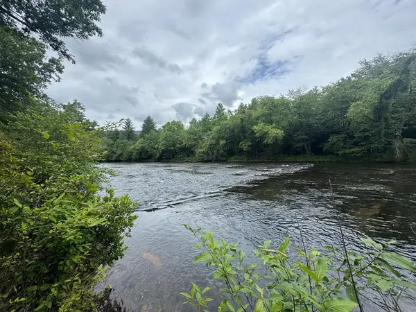 5531 Fires Creek Road, Hayesville, NC 28904