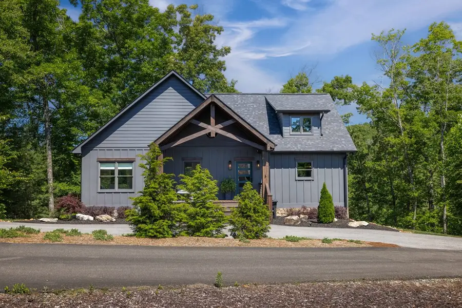 141 Long View Lane, Blue Ridge, GA 30513 - #2
