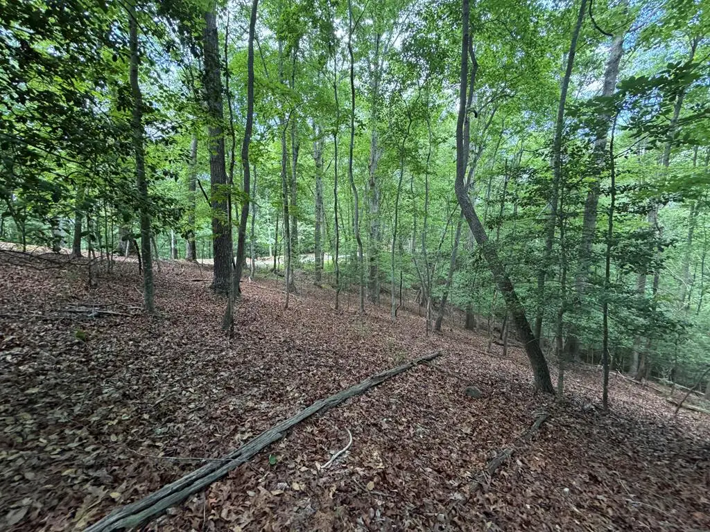 Lot 1049 Gateway Drive, Ellijay, GA 30540 - #1